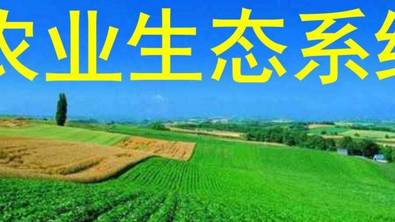 家庭农场大棚加盟代理：揭秘加盟背后的生态农业之道**