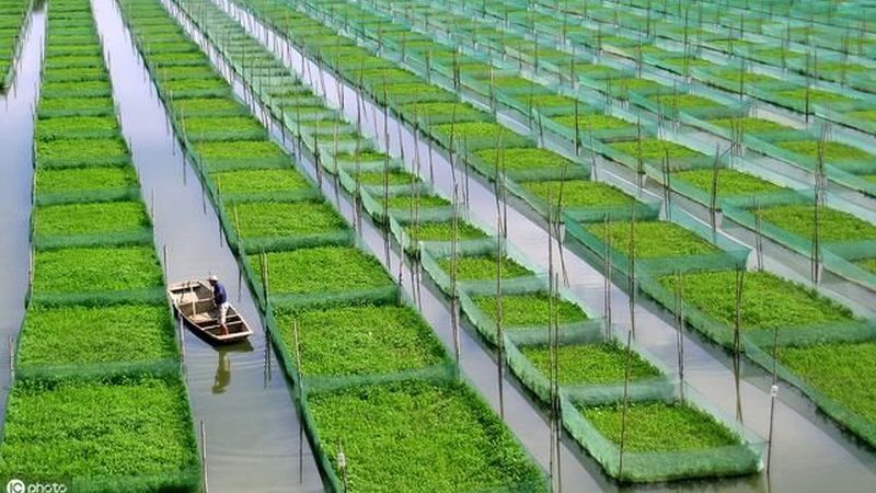 农业节水灌溉加盟代理条件