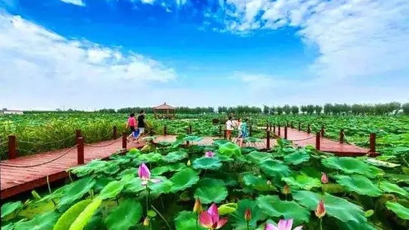 市级现代农业产业园建设，别只盯着“申报材料
