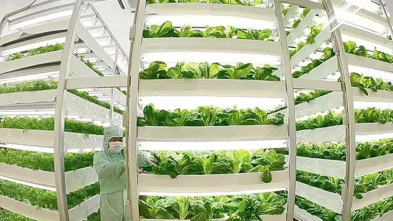 智能温室大棚一亩造价几何：揭秘成本构成与选型策略