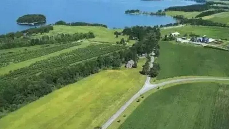 大豆种植一亩成本清单：如何精准控制成本，提高效益？**