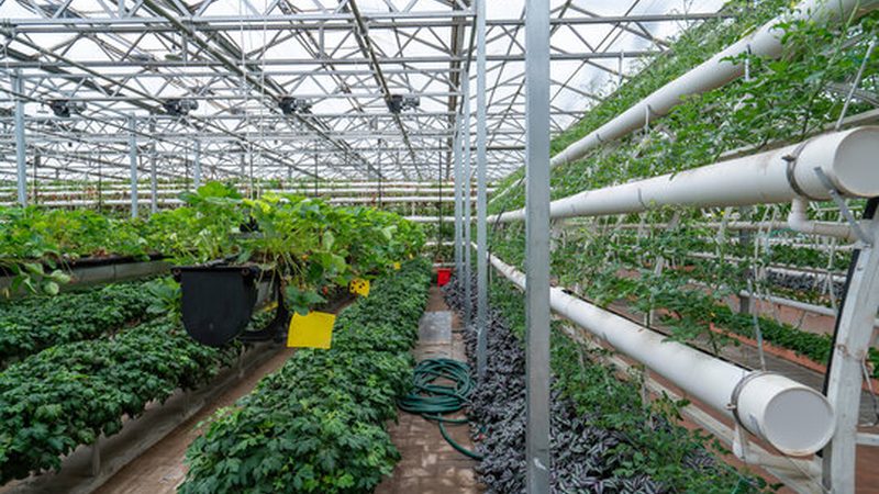 生鲜配送中心建设标准规范：构建高效冷链保障