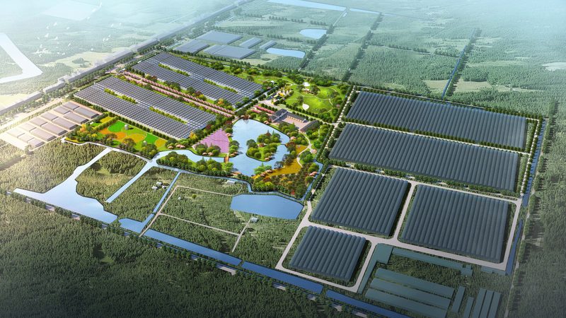 合作社注销债务处理方式：合规与实操指南