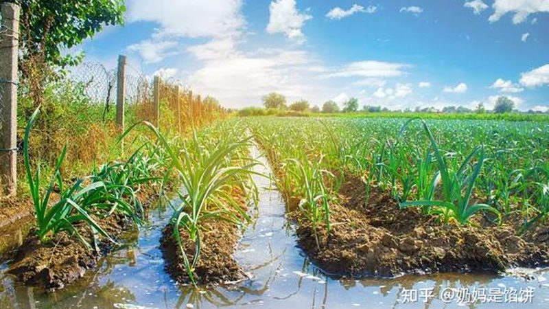 了解注册条件后，接下来就是准备注册材料。以下是一份常见的注册材料清单：
