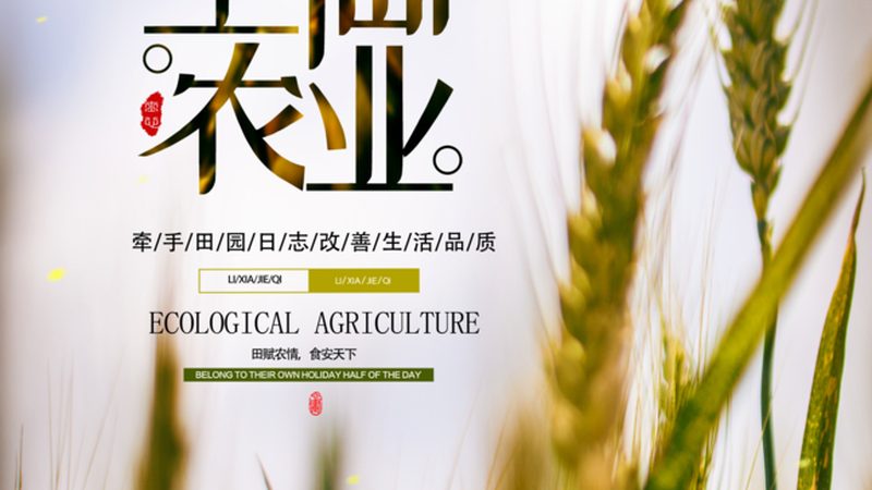在签订合同前，要仔细阅读合同条款，确保以下几点：